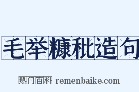 毛举糠秕造句是什么意思的图片